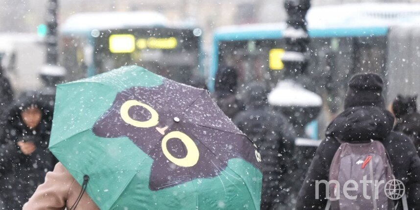    Алена Бобрович