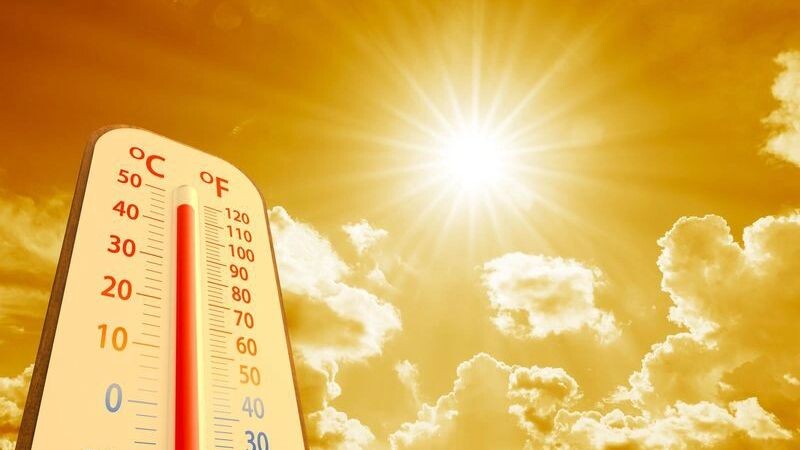    Фото: Lamyai/Shutterstock/Fotodom