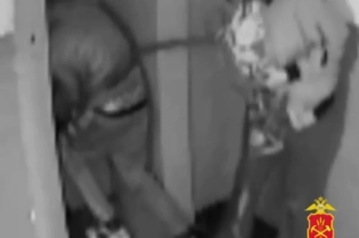    В Новокузнецке суд рассмотрит дело о жестоком обращении с щенком