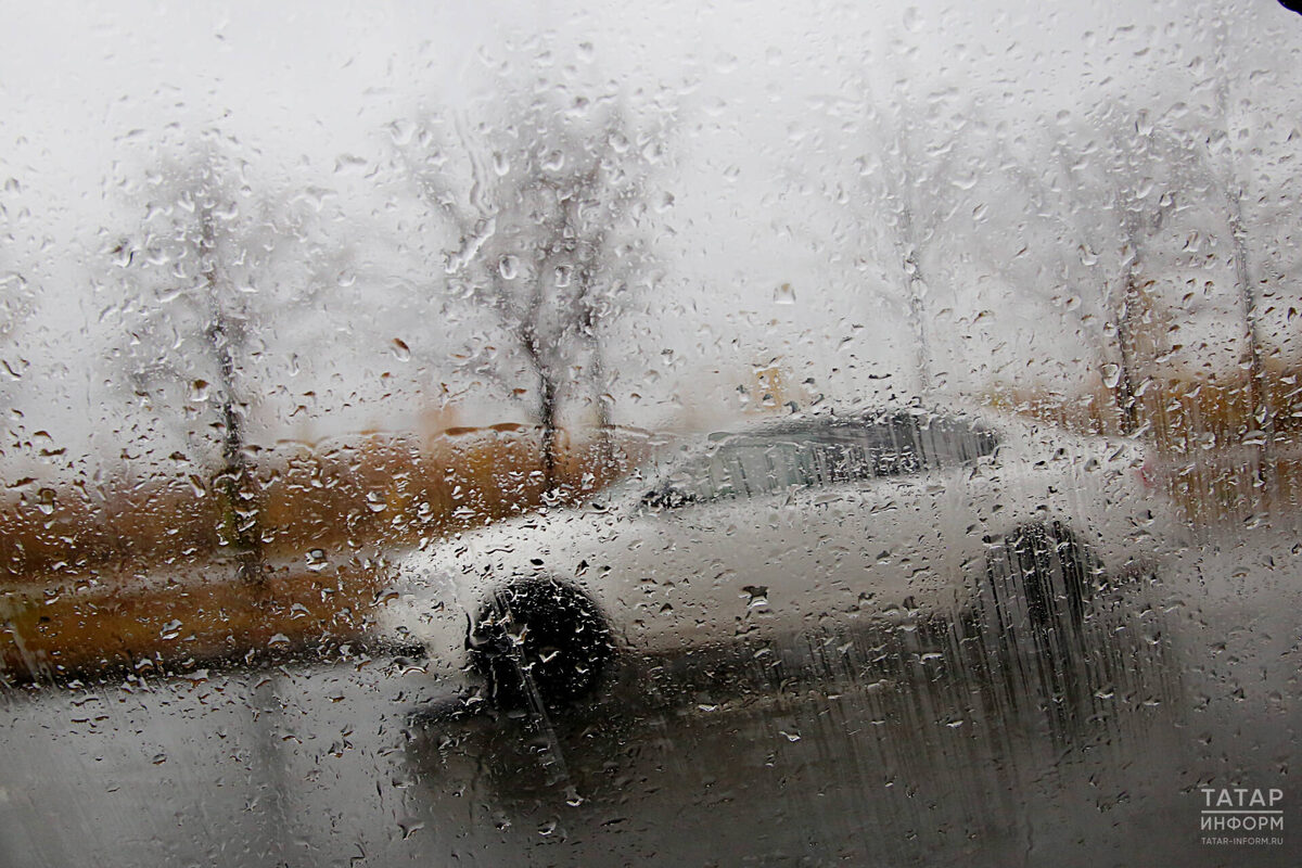 Фото: © Султан Исхаков / «Татар-информ»