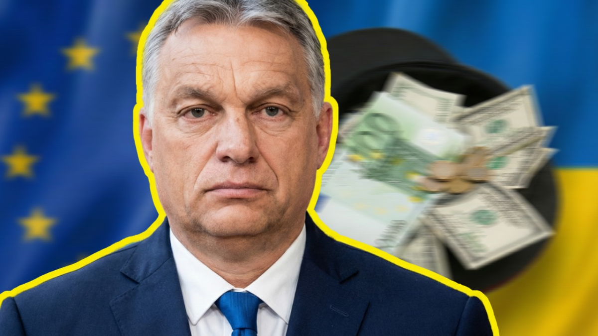 Фото: Арина Розанова | коллаж ForPost