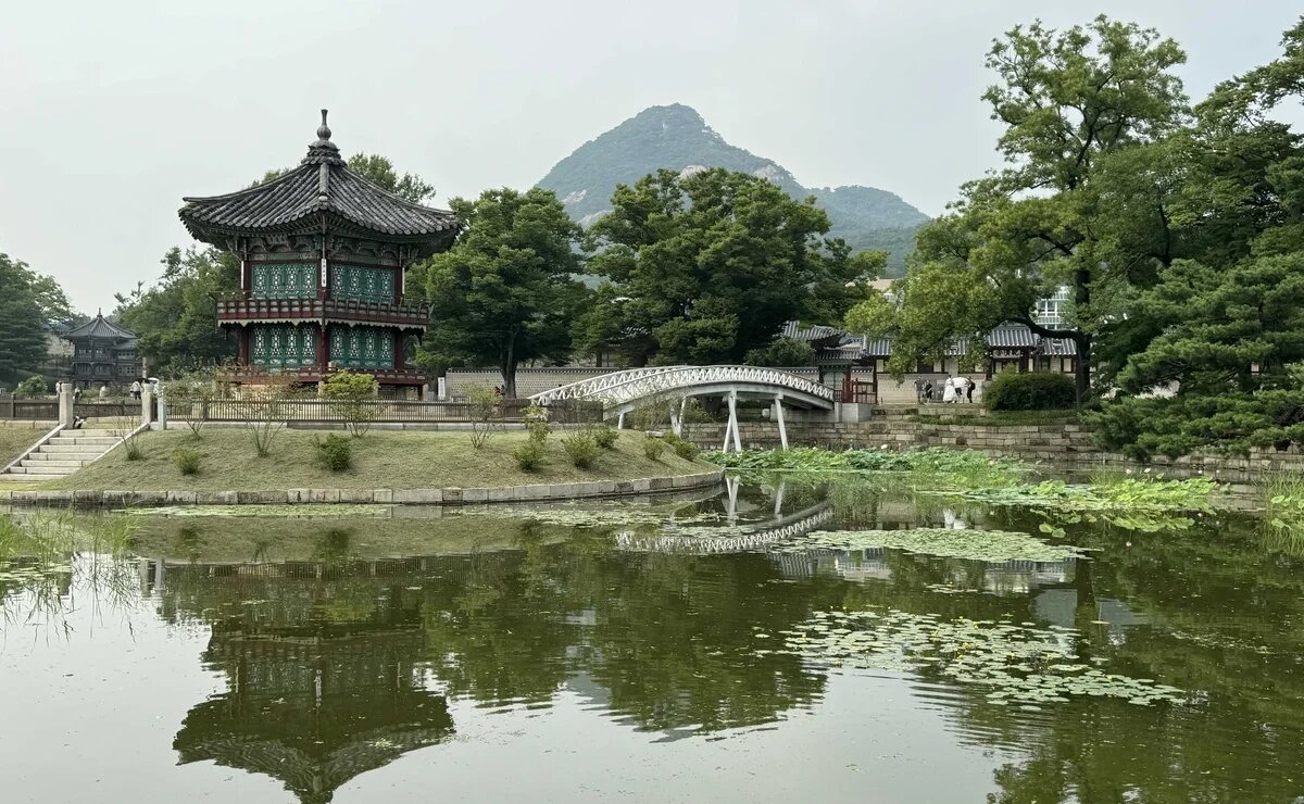    Турпоток из России в Южную Корею по итогам 2025 года увеличится на 15%