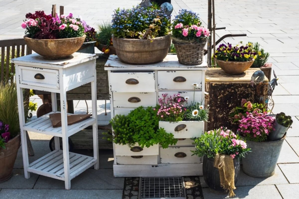    Тверичан предупредили об опасностях покупки растений в горшках