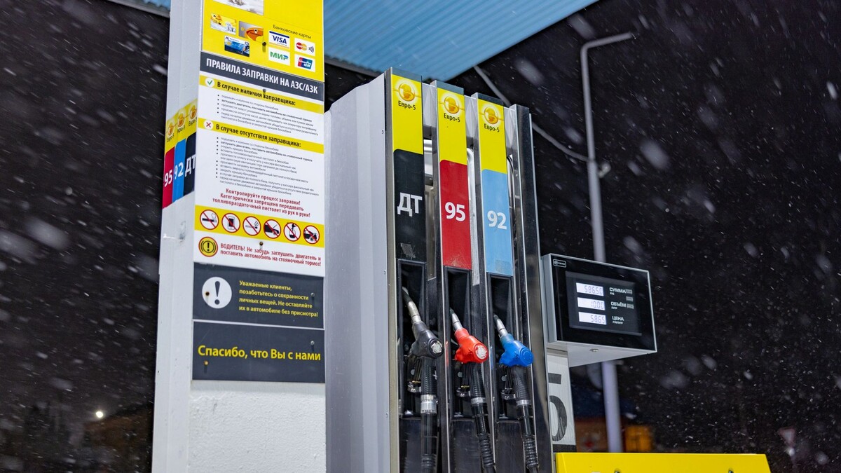    Фото: Фёдор Воронов / «Ямал-Медиа»