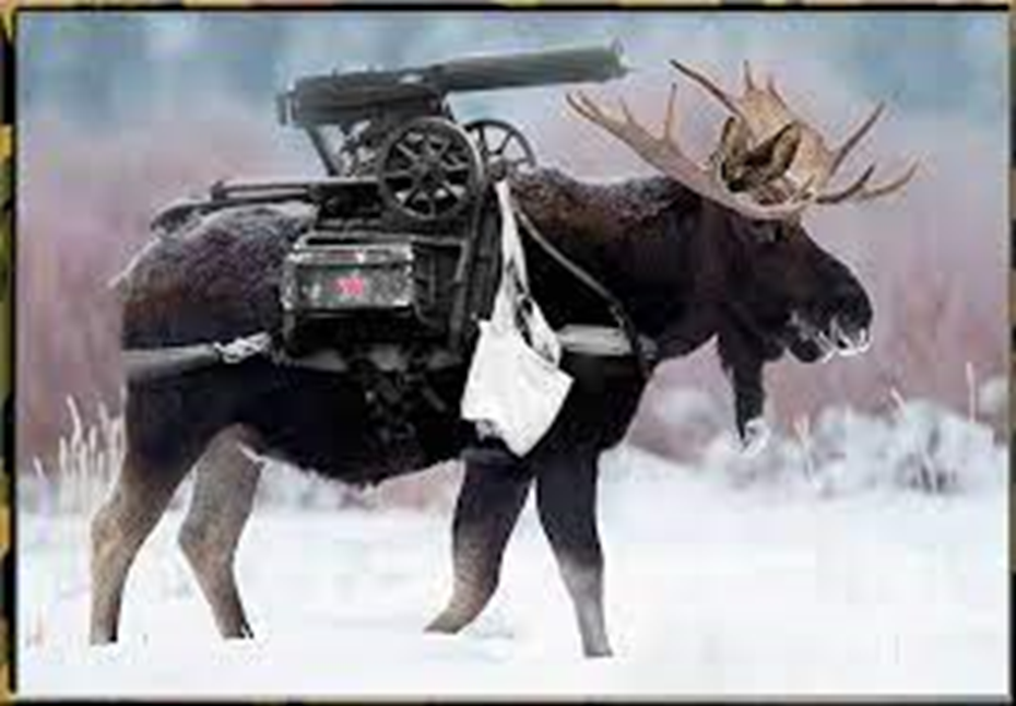 Вооружён и очень опасен!