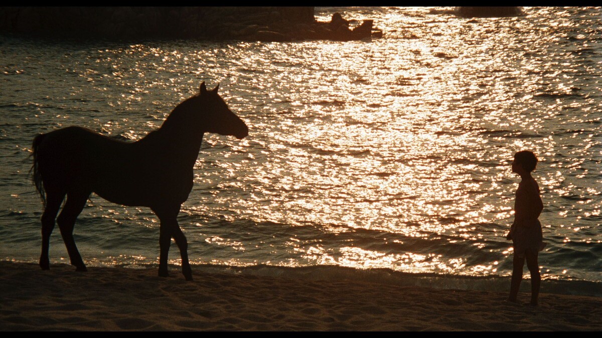 Кадр из фильма «Чёрный скакун» (1979)