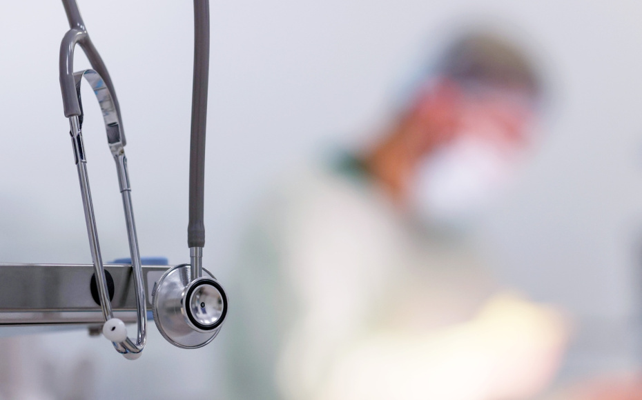    Алексей Белкин/NEWS.ru