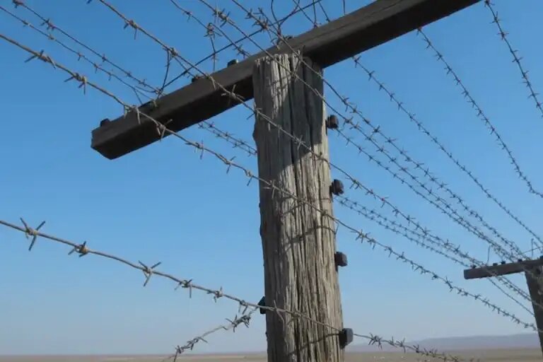    Открытый источник