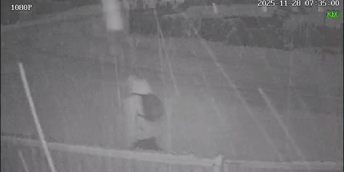 Личный снимок автора канала