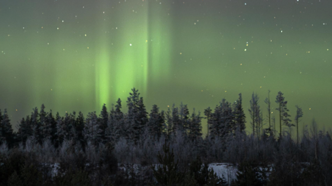 Фото: @thunderphoto/telegram