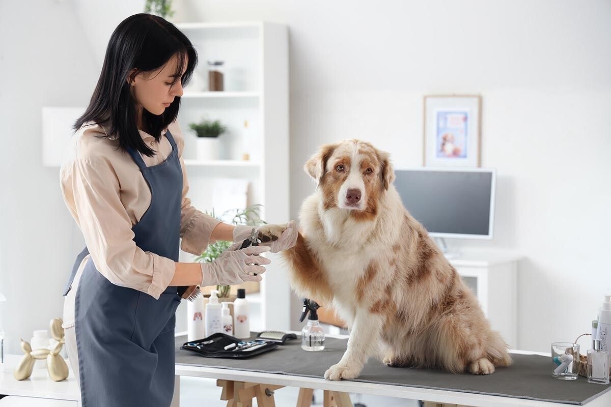 Какие у вас шикарные когти! Свои или нарощенные? Источник: Pixel-Shot / Shutterstock / FOTODOM📷
