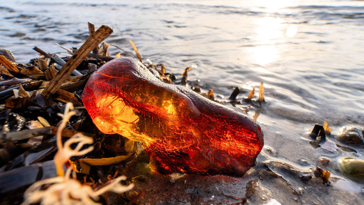     Фото: Bjoern Wylezich/Shutterstock/FOTODOM Янтарь — это окаменевшая смола древних деревьев, которая за миллионы лет превратилась в твердое, полупрозрачное вещество теплых оттенков