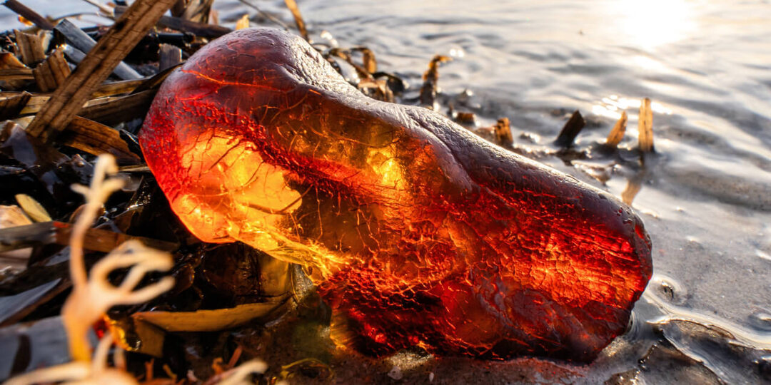 7 интересных фактов о янтаре, или Почему янтарь ценили фараоны