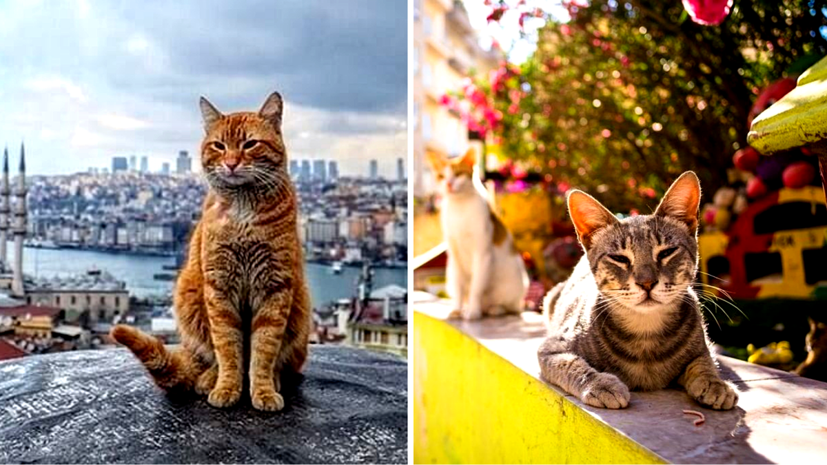 Еще фото --->>