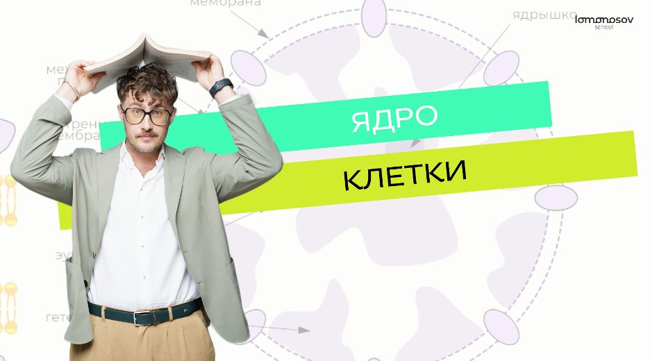 Ядро для ЕГЭ по биологии