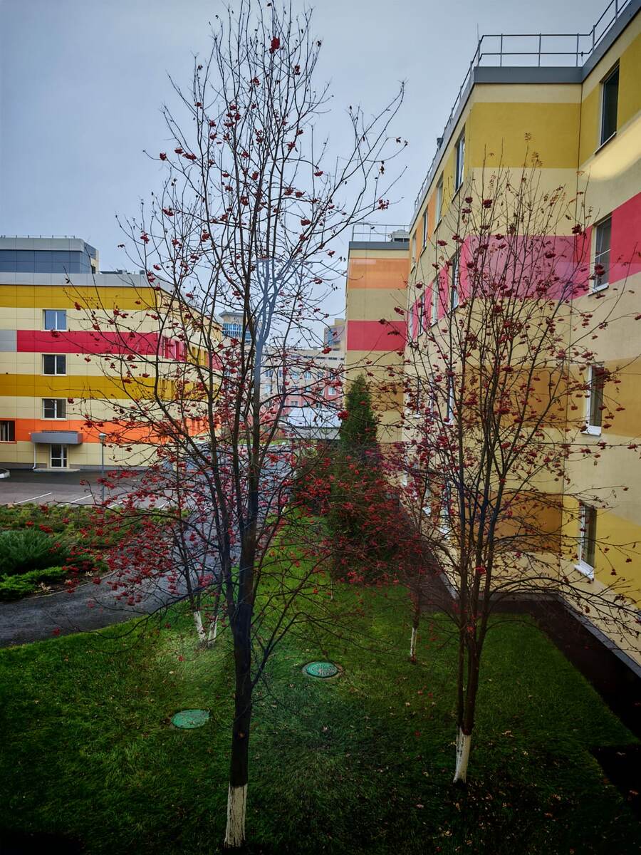 Вид из окна федерального травматологического центра в Чебоксарах