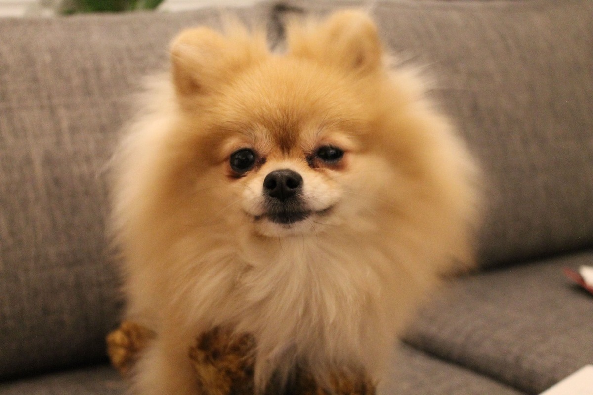    Фото: iStock/Elilod