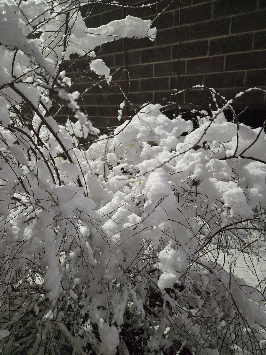 Понедельник выдался снежным 