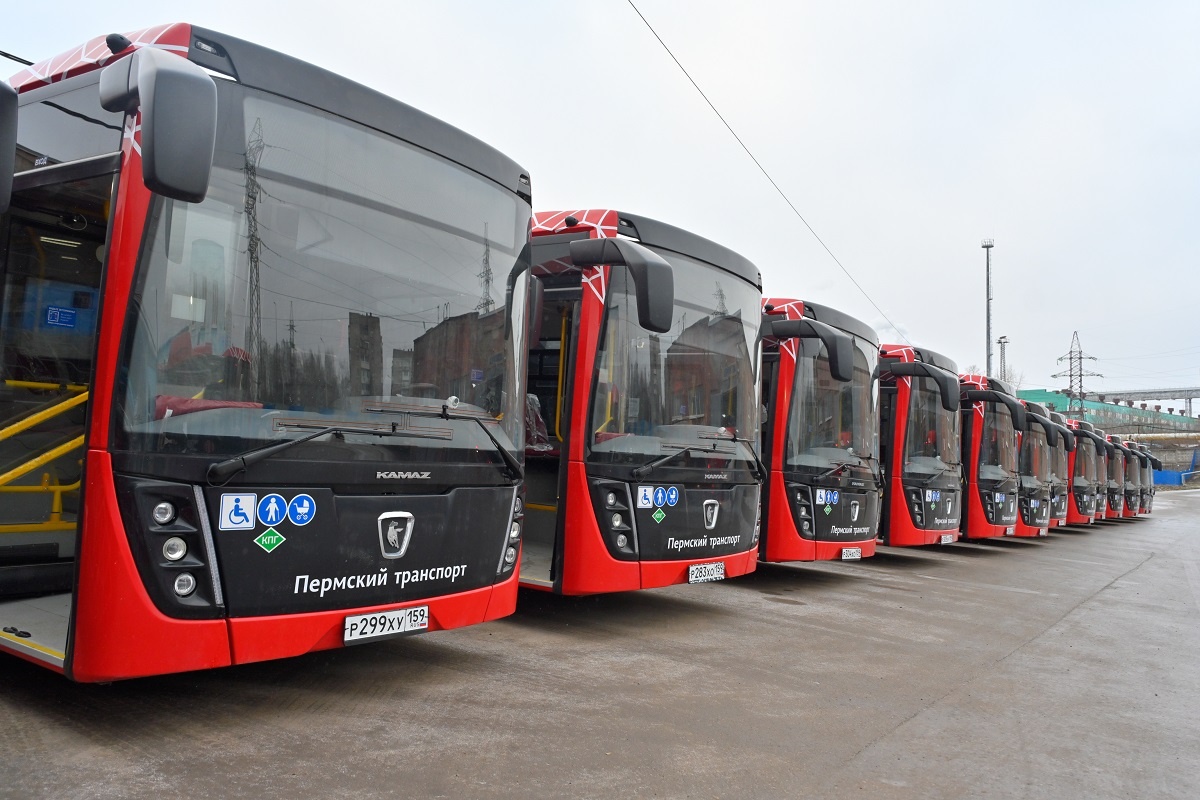    © Пресс-служба правительства Пермского края