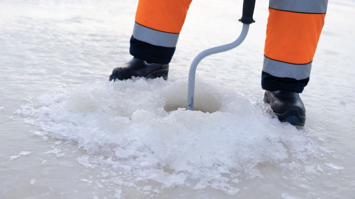    Фото: Федор Воронов/«Ямал-Медиа»