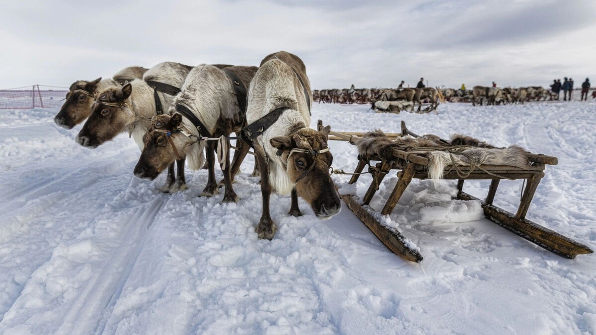    Фото: Evgeny Kuzhilev/Shutterstock/Fotodom