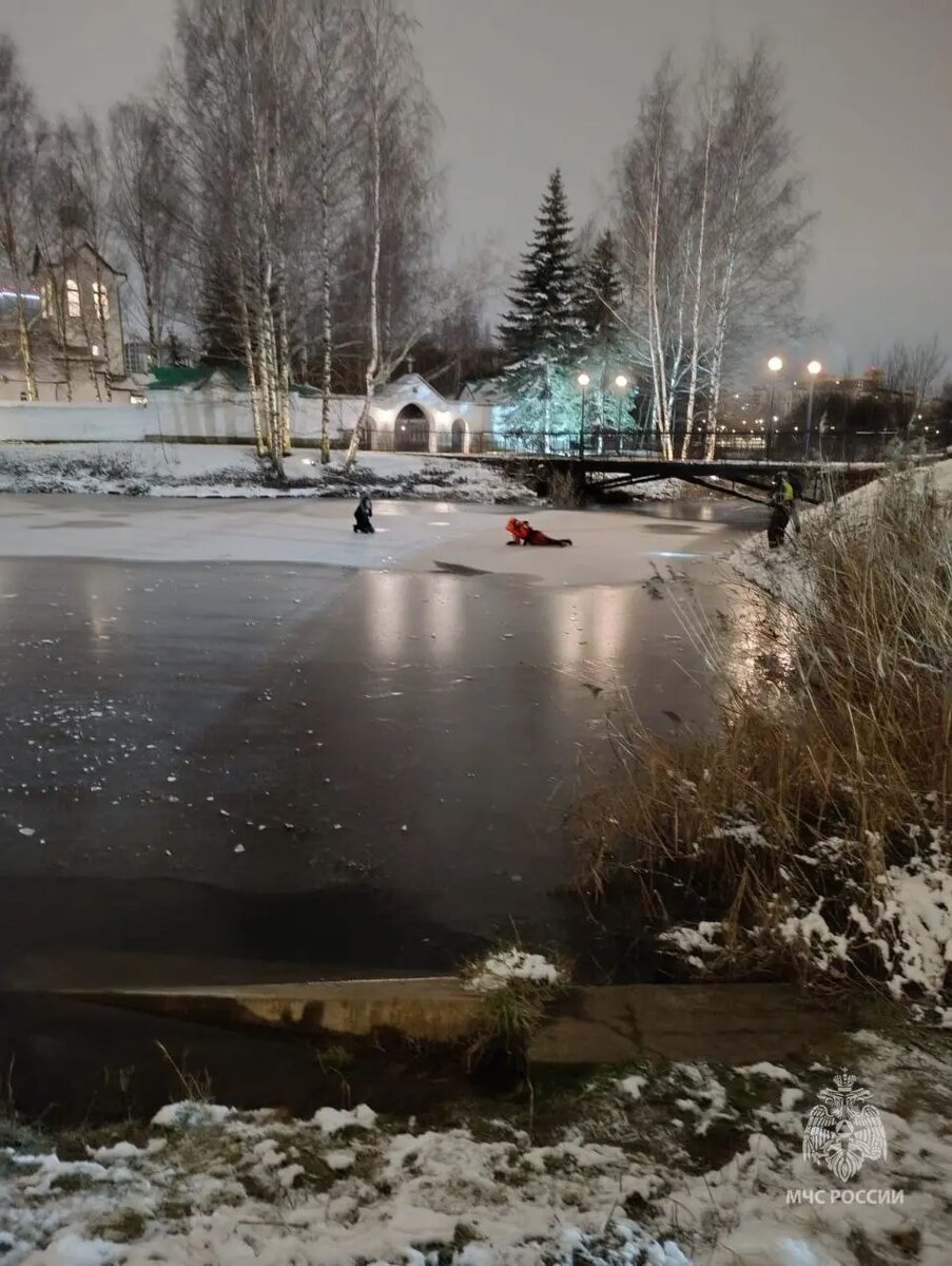    Фото: ГУ МЧС по Петербургу