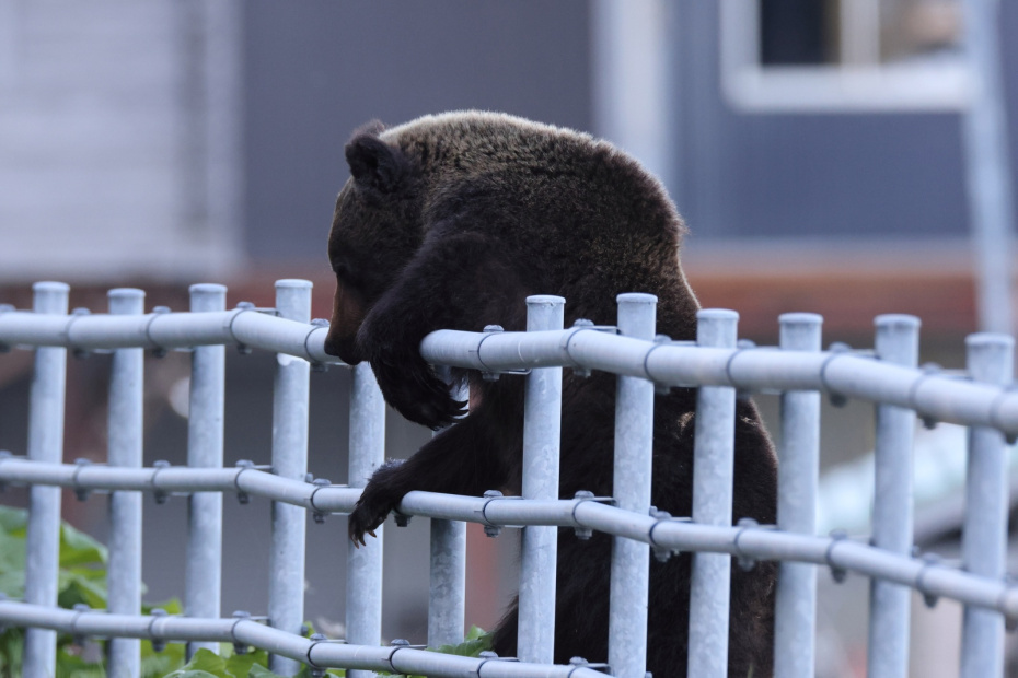    Shutterstock/FOTODOM