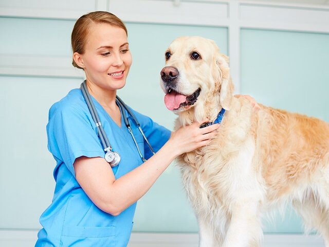    Фото: depositphotos/pressmaster