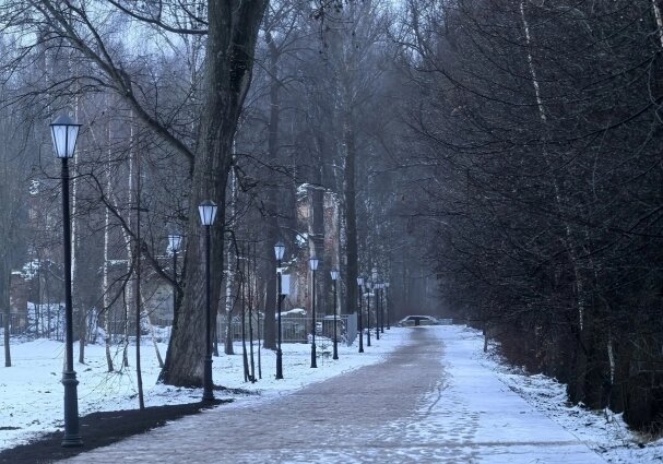    Дорожки хотели вернуть к первоначальному виду. Фото: АиФ/ Анастасия Григорьева