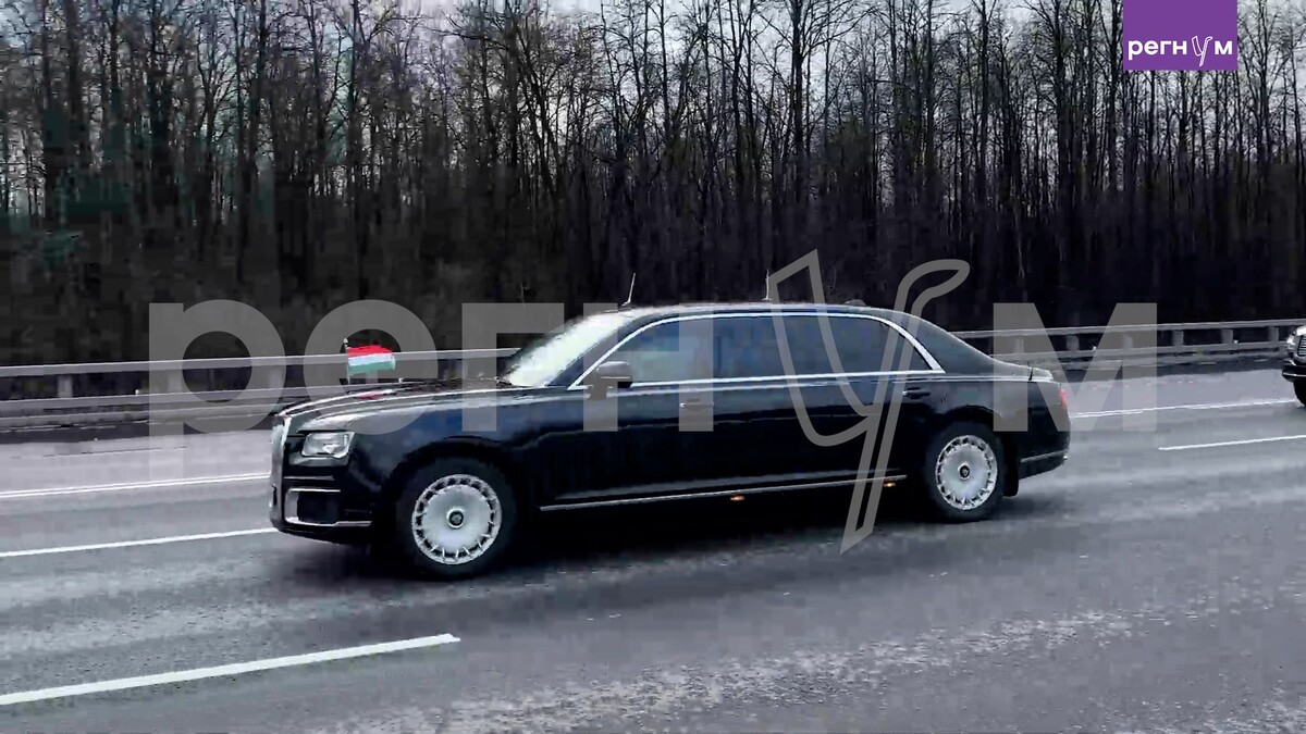     / Источник: Кадр из видео