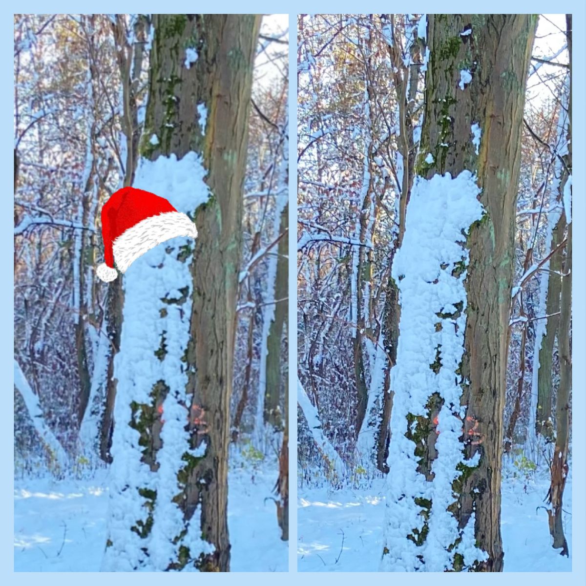 Так вижу. Мое воображение