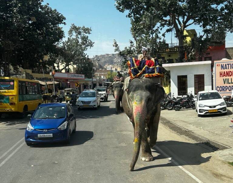 В Джайпуре слоны - полноправные участники движения