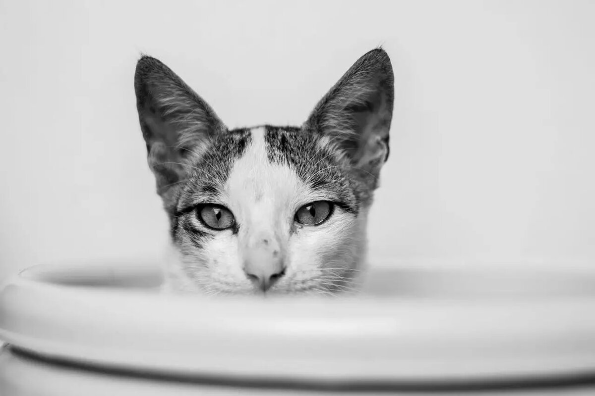    Готовы узнать горькую правду, скрывающуюся за сладким обманом? /unsplash