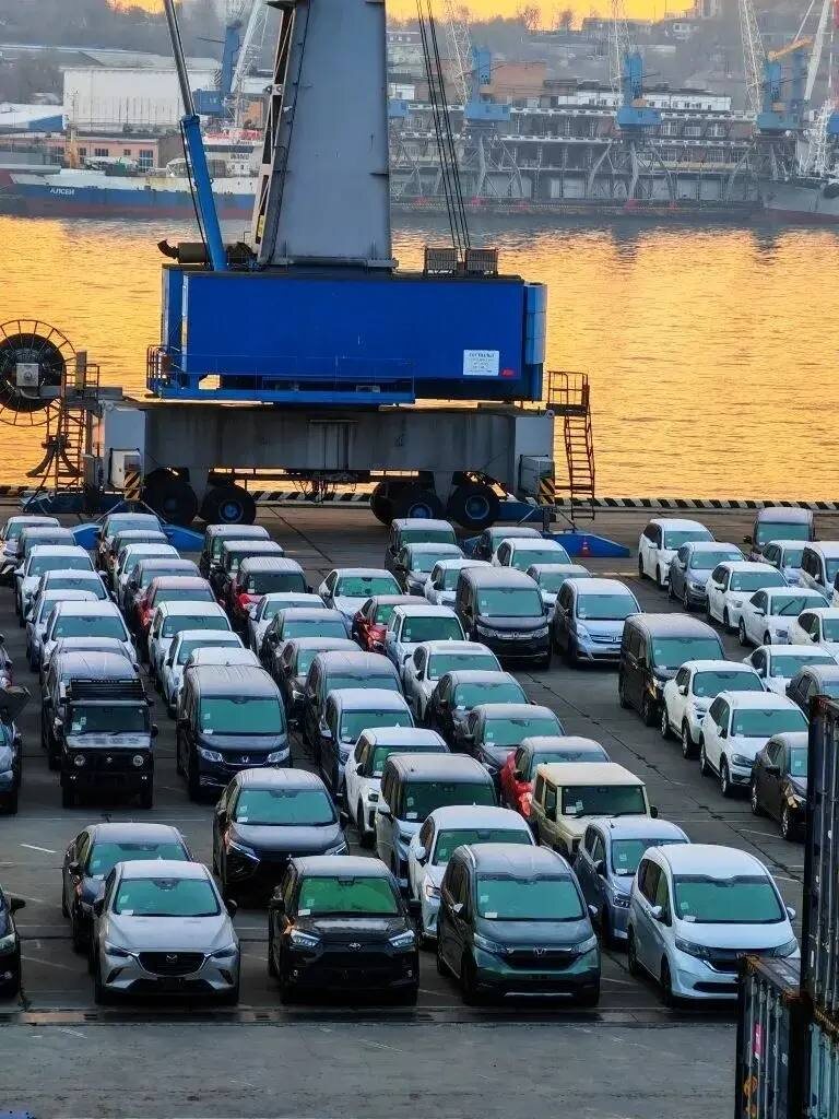     Фото: ФТС России