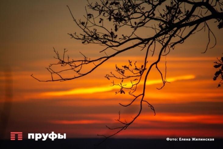    Фото: Пруфы.рф
