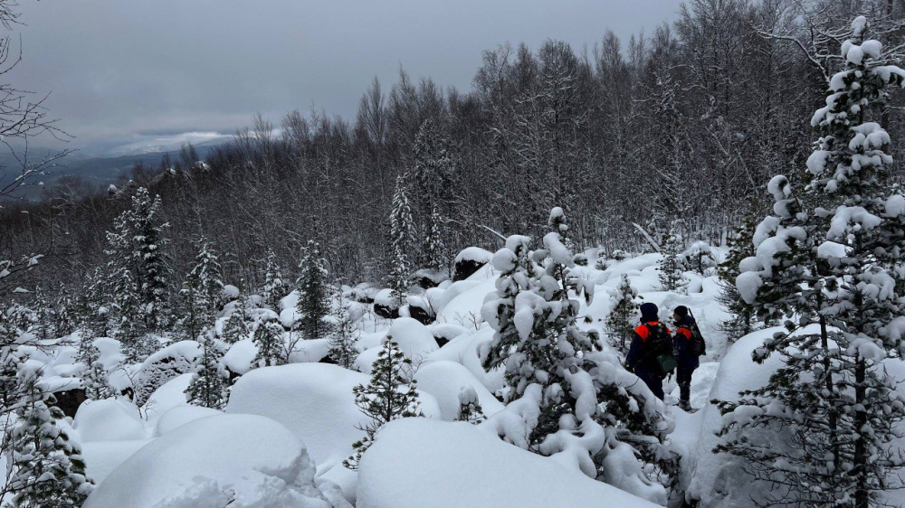     Фото: t.me/lizaalert24krsk