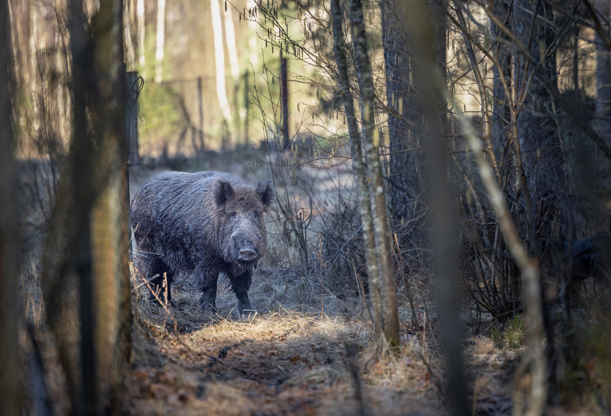 Фото: Shutterstock