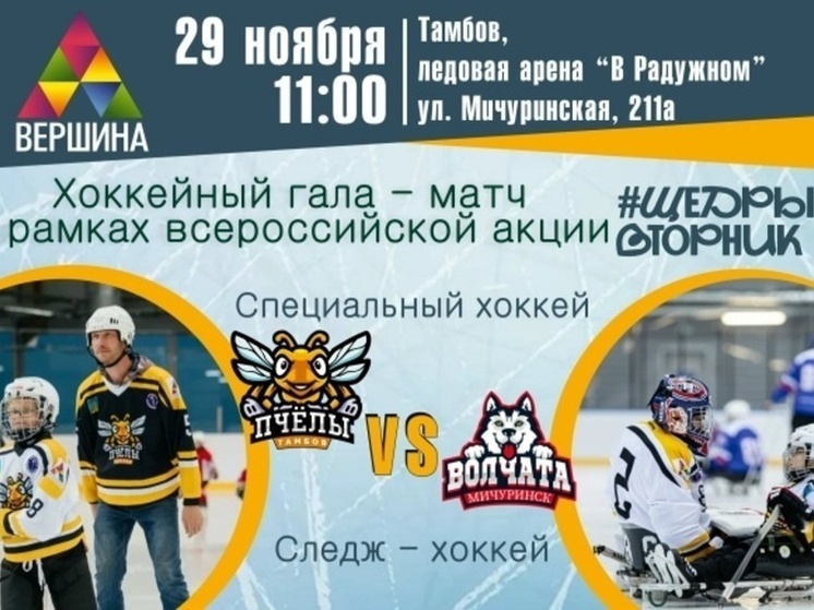     Источник: "Вершина", адаптивный хоккей в Тамбове