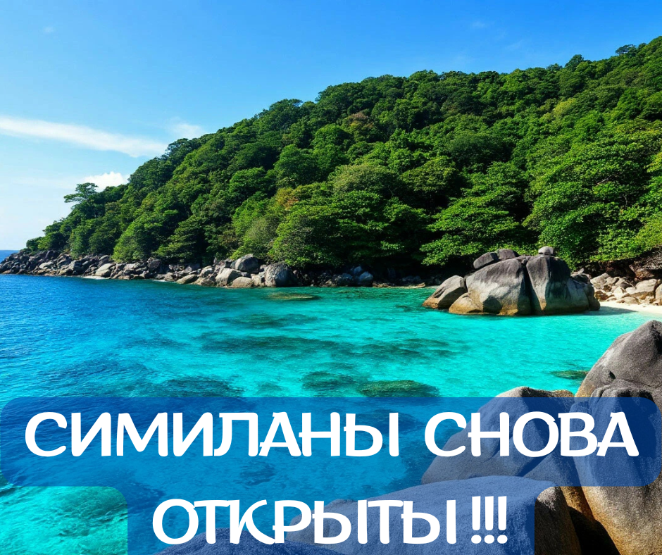 🌴 СИМИЛАНЫ СНОВА ОТКРЫТЫ! Картинка создана при помощи ИИ.