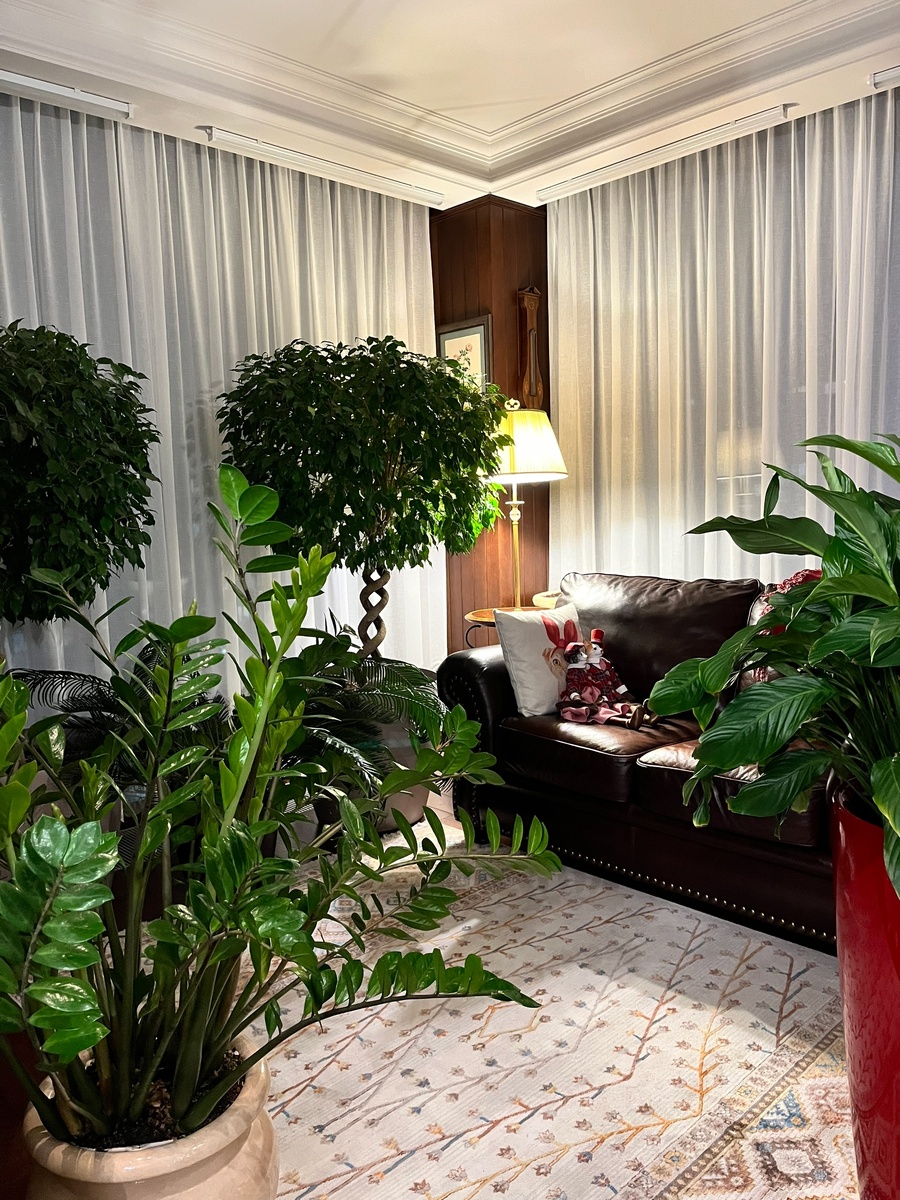 Зимний сад в Тюмени