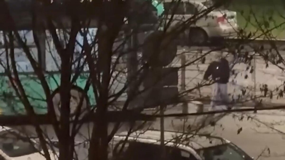    Фото: соцсети