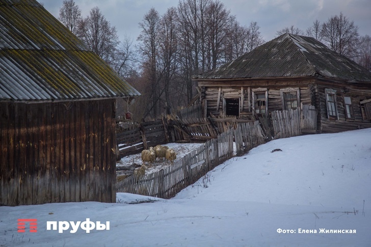    Фото: Пруфы