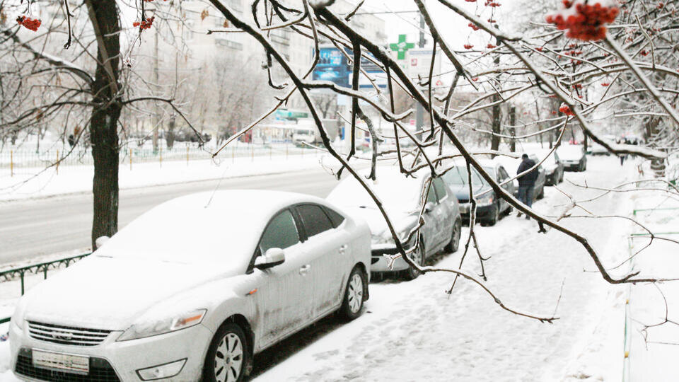 Фото: ИЗВЕСТИЯ/Владимир Суворов