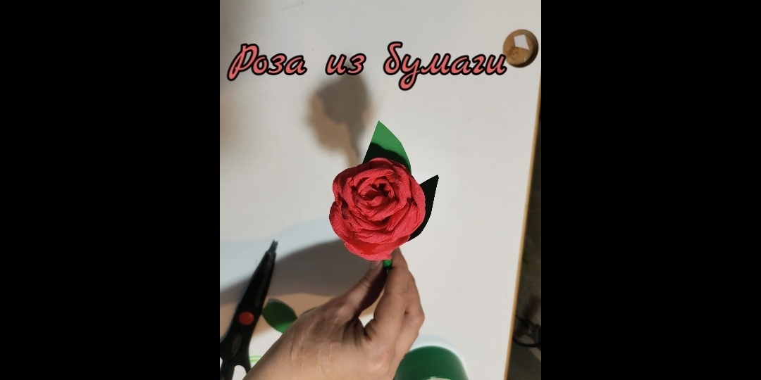 🌹Роза из крепированной бумаги. Простая и красивая поделка.