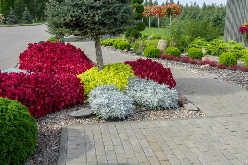 Ландшафтный дизайнер, если он профессионал своего дела, предоставит живые
фото своих проектов, а не только их визуализацию