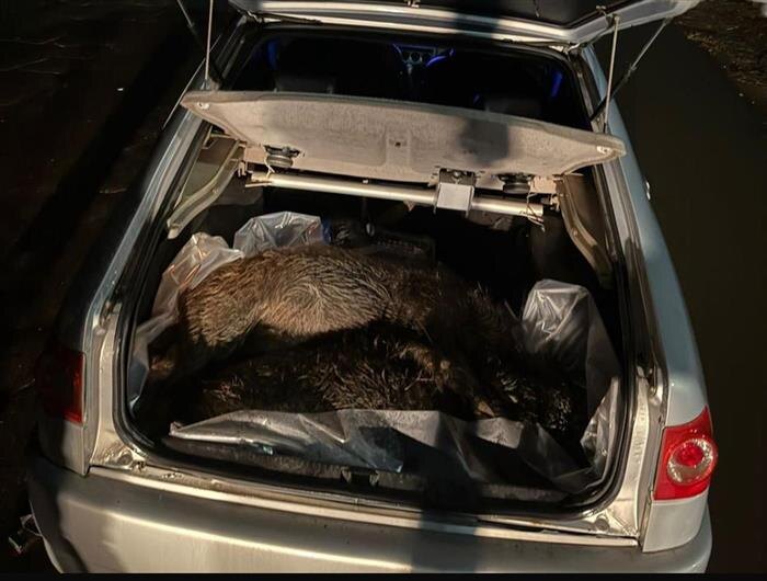    ФОТО: предоставлено очевидцем