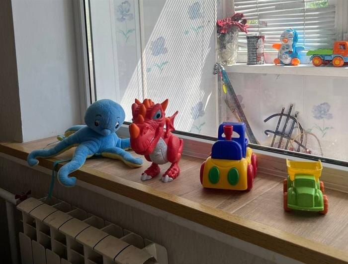    ФОТО: РО ВОРДИ Самарской области