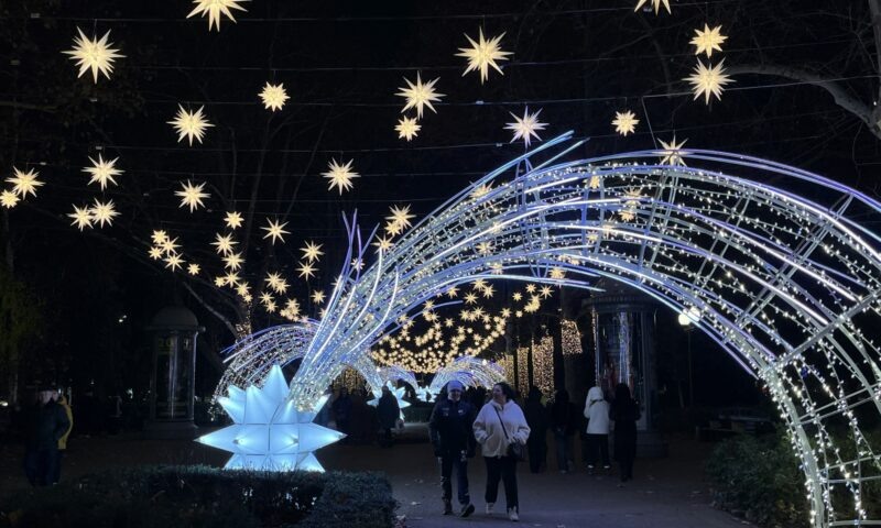    Фото Дарьи Черемухиной, «Кубань 24»