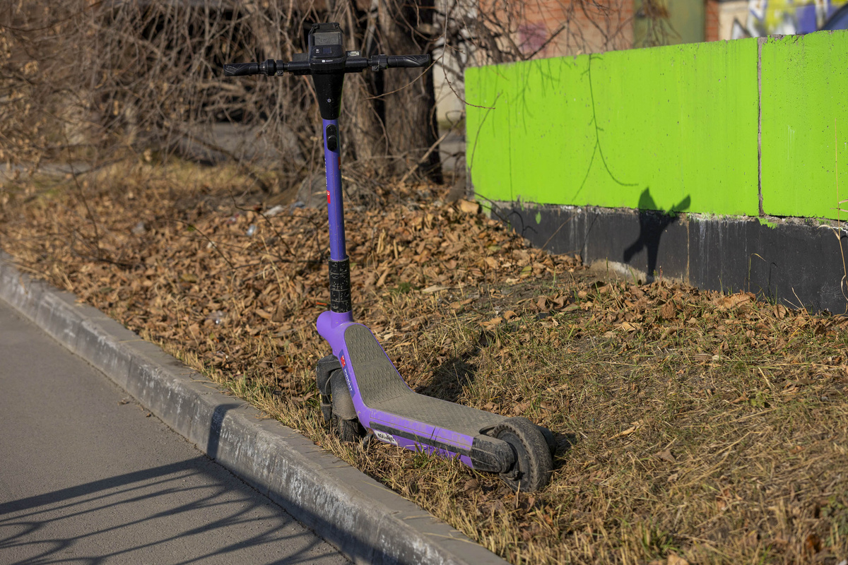 Андрей Максимов считает, что регулировать движение СИМ должны города.  Фото: ФедералПресс / Иван Кабанов