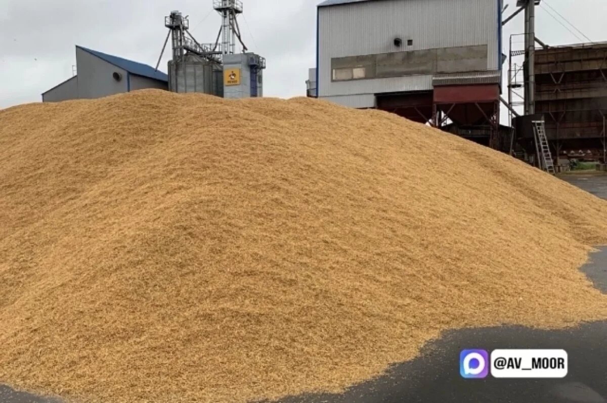    Россельхознадзор выявил недостоверное декларирование 367 тысяч тонн зерна